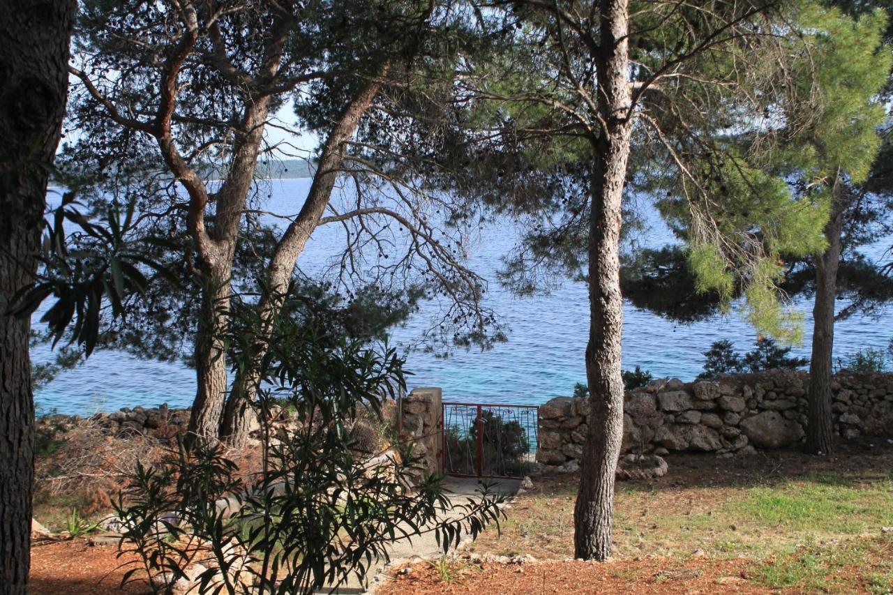 Apartment Zavala 8774B Jelsa  Dış mekan fotoğraf